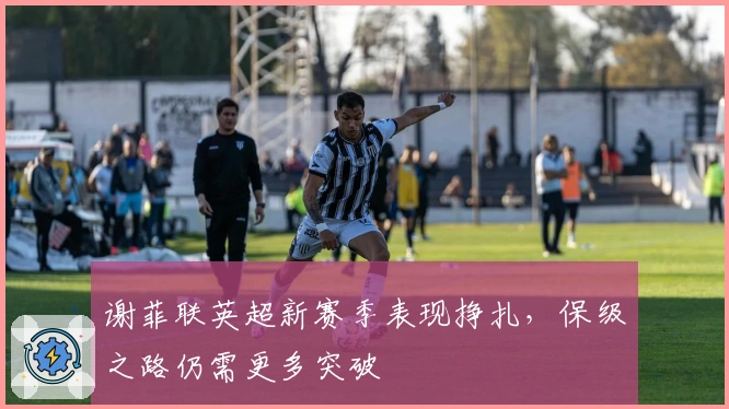 谢菲联英超新赛季表现挣扎，保级之路仍需更多突破