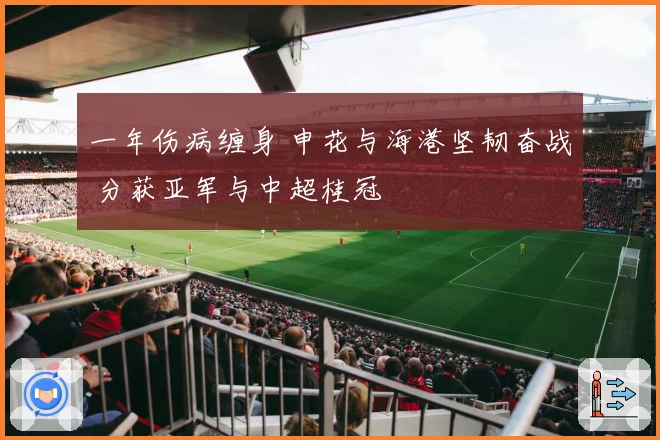 一年伤病缠身 申花与海港坚韧奋战 分获亚军与中超桂冠