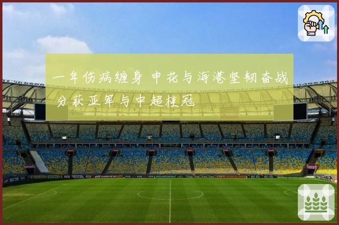 一年伤病缠身 申花与海港坚韧奋战 分获亚军与中超桂冠